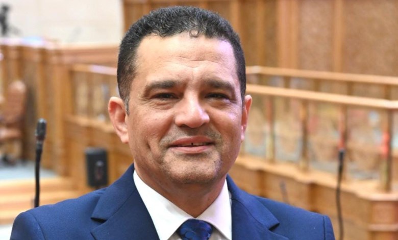 النائب أمير الجزار