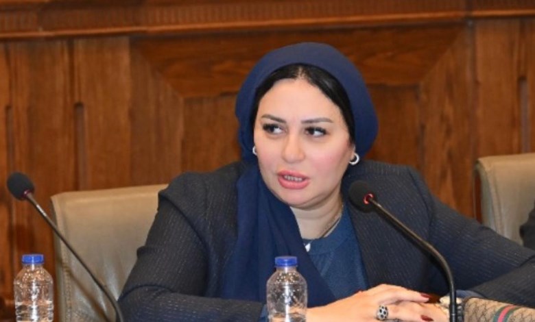 النائبة شيرين صبري 