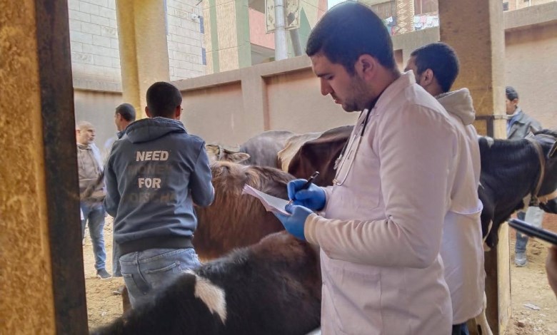 القوافل البيطرية