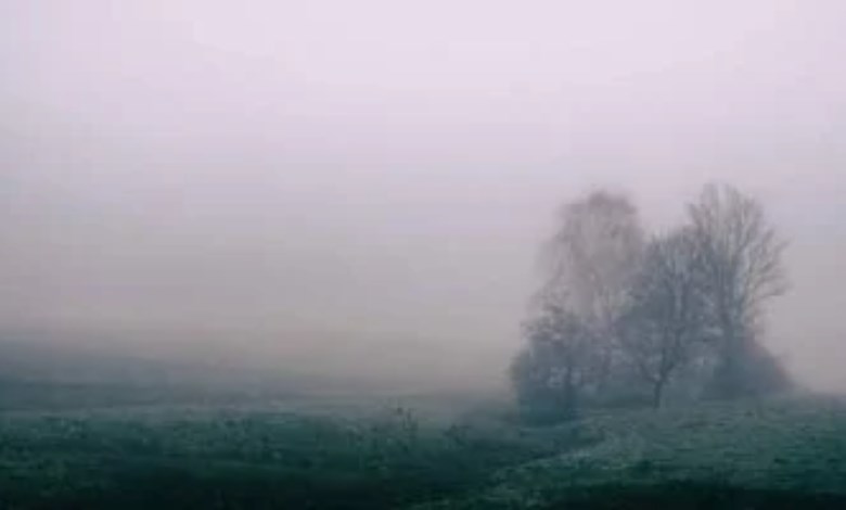 تأثير المناخ على الزراعة