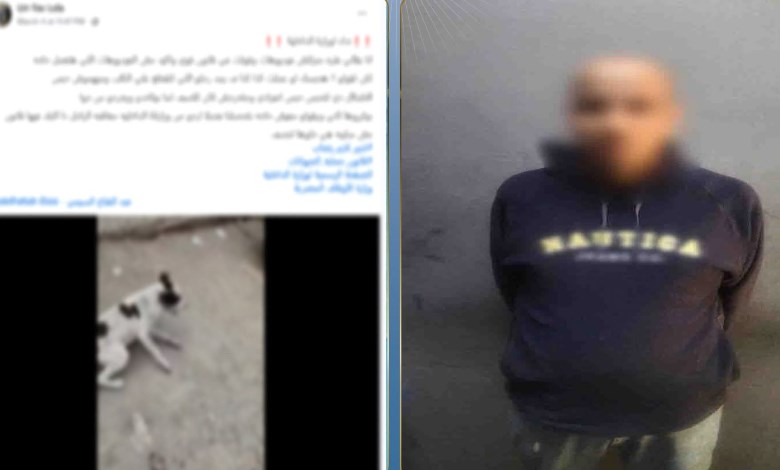 المتهم