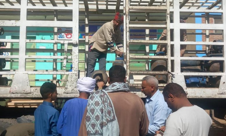 ضخ 30 ألف اسطوانة بوتاجاز بمراكز محافظة قنا 