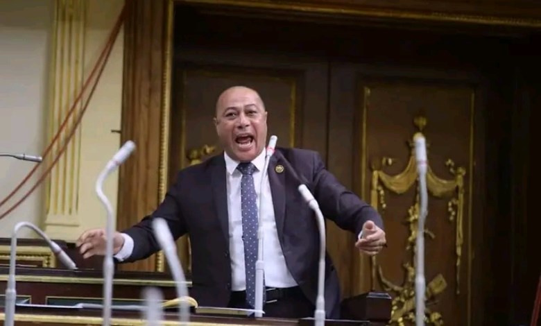 علاء سليمان عضو مجلس النواب 