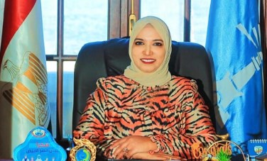الدكتورة ميرفت السيد 