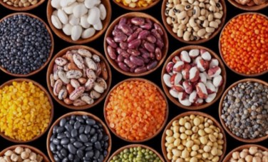 اسعار البقوليات 