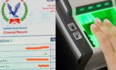 فيش وتشبيه