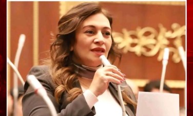  النائبة نيفين فارس