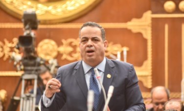 النائب عصام عفيفي