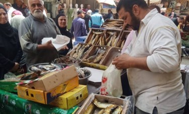 ضبط اسماك فاسدة