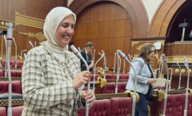 النائبة الدكتورة زينب فهيم عضو مجلس الشيوخ