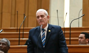 عاطف مغاوري