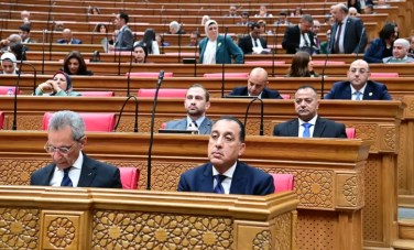 مجلس النواب 