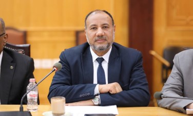 مرسي حسن 