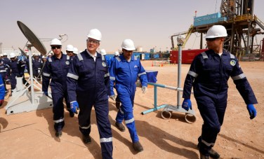 وزير البترول والثروة المعدنية 