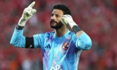 محمد الشناوي
