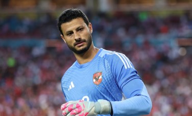 محمد الشناوي