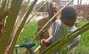 مديرية زراعة قنا