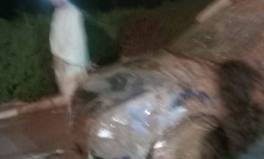 انقلاب سيارة داخل ترعة بقنا 