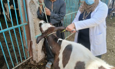 التحصين ضد الجدري 