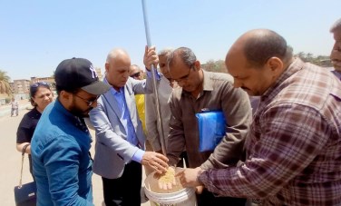 توريد محصول القمح في أسيوط