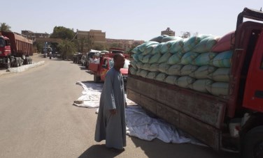 توريد القمح في أسيوط