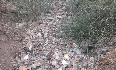 صورة من الترعة 