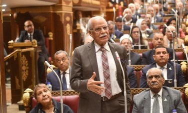 محمد أبو العلا 