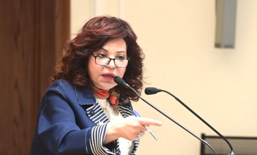 آمال عبدالحميد 