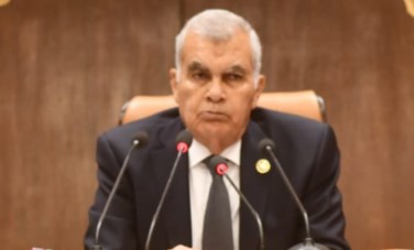 عصام الدين فريد 