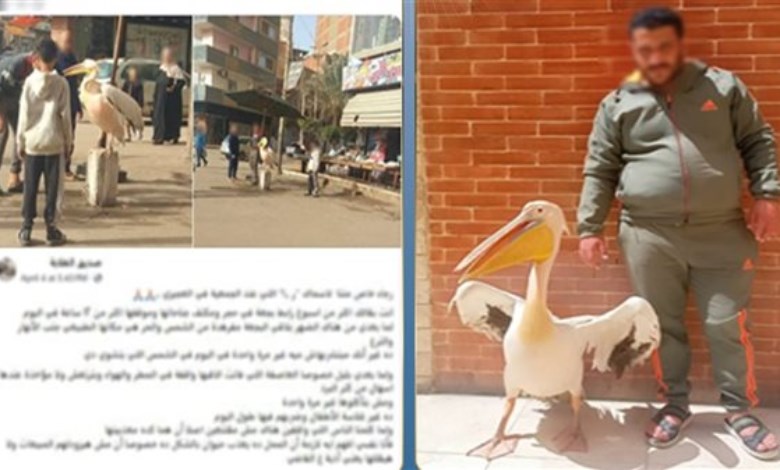 المتهم