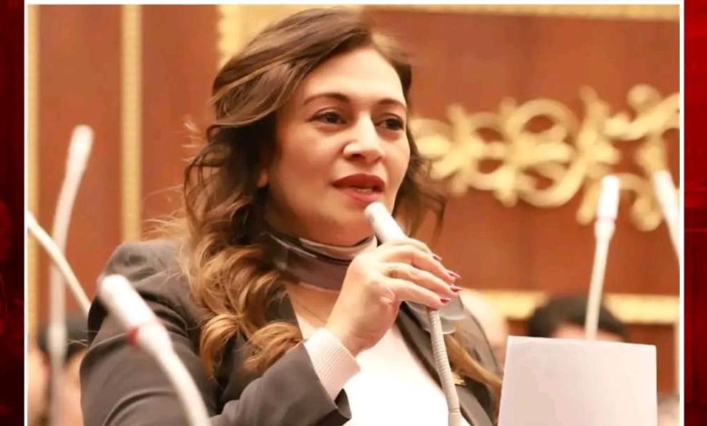  النائبة نيفين فارس