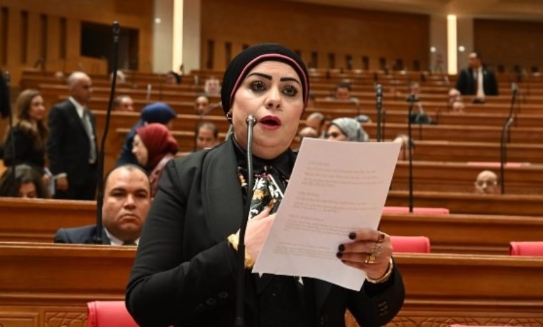 النائبة الدكتورة جيهان شاهين
