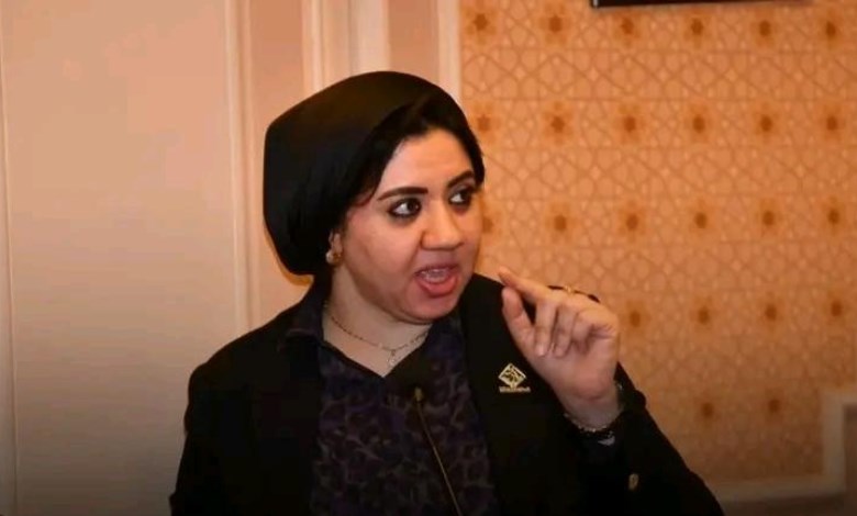 النائبة أميرة صابر