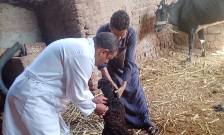 مديرية طب بيطري قنا