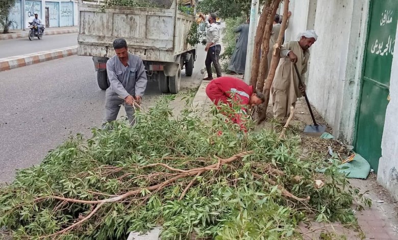أعمال قص وتنسيق الأشجار 