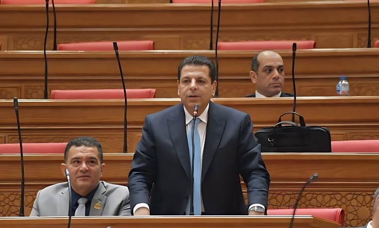 محمود سامي الإمام 
