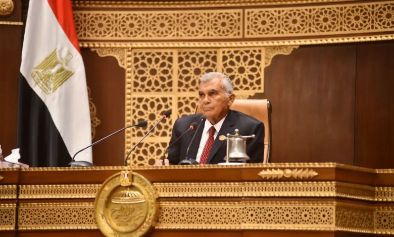 المستشار عصام الدين فريد 