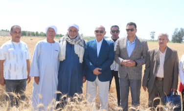 محافظ السويس 