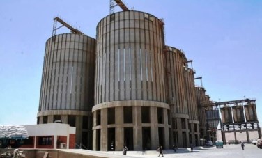 توريد 64 ألف طن قمح بسوهاج 
