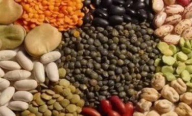 اسعار البقوليات 
