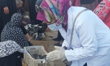 بيطري الشرقية
