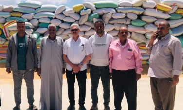 صوامع الشرقية 