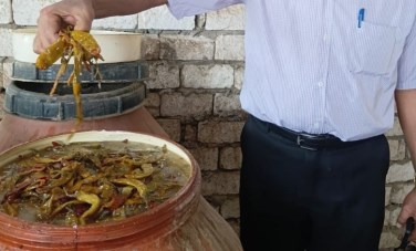 تموين الشرقية 