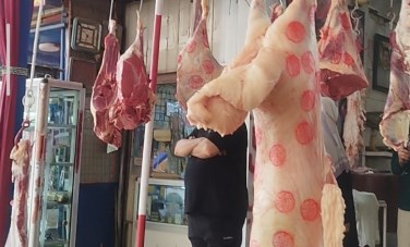 اقدم جزاره لحوم في الزقازيق 