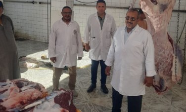 بيطري الشرقية