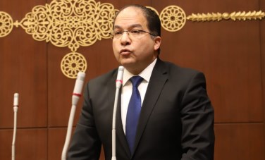 عادل اللمعي 