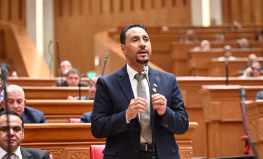 النائب جرجس لاوندي 