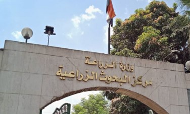 مركز البحوث الزراعية