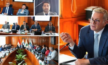 وزير البترول والثروة المعدنية 