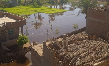 غرق منازل وزراعات بالبداري لارتفاع منسوب النيل 